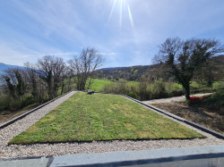Toit végétalisé à Vienne